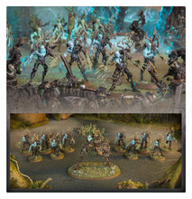 Load image into Gallery viewer, BROKEN REALMS: DRYCHA'S SPITEGROVE (6792396374178)