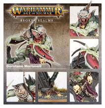 Load image into Gallery viewer, BROKEN REALMS: MORTEVELL'S HELCOURT (6634548232354)