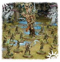 Load image into Gallery viewer, START COLLECTING! SYLVANETH (6736986603682)
