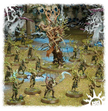 Load image into Gallery viewer, START COLLECTING! SYLVANETH (6736986603682)