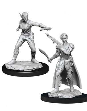 D&D Nolzur's Marvelous Unpainted Minis - Shifter Rogue Female (6880711114914)