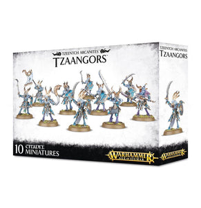 TZEENTCH ARCANITES TZAANGORS (5914589003938)