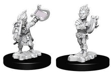 Load image into Gallery viewer, Pathfinder Deepcuts: Gnome Male Bard (5364909801634)
