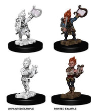 Load image into Gallery viewer, Pathfinder Deepcuts: Gnome Male Bard (5364909801634)
