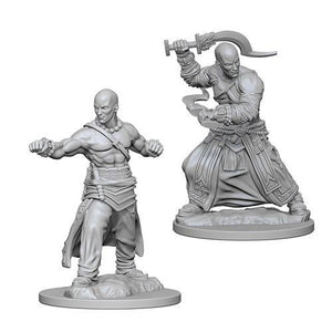 Pathfinder Deepcuts: Human Male Monk (5364807499938)