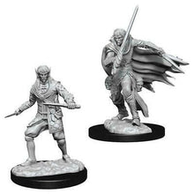 Load image into Gallery viewer, Pathfinder Deep Cuts: Male Elf Rogue (4701292101769)
