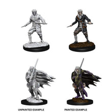 Load image into Gallery viewer, Pathfinder Deep Cuts: Male Elf Rogue (4701292101769)
