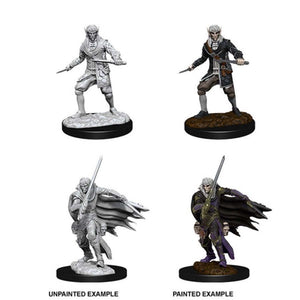 Pathfinder Deep Cuts: Male Elf Rogue (4701292101769)