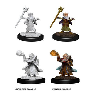 D&D NMU: Male Gnome Wizard (5914577305762)