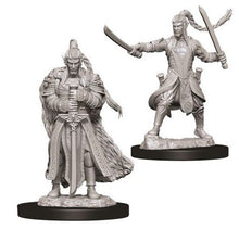 Load image into Gallery viewer, D&amp;D NMU: Male Elf Paladin (6879349342370)
