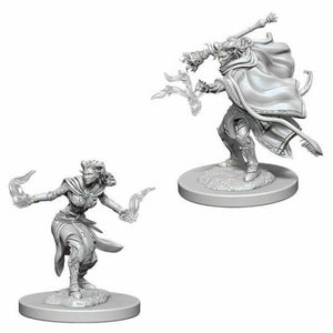 D&D NMU: Female Tiefling Warlock (6879357501602)