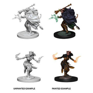 D&D NMU: Female Tiefling Warlock (6879357501602)