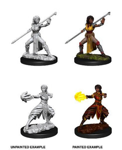 D&D NMU: Female Half-Elf Monk (6879367757986)