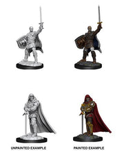 Load image into Gallery viewer, D&amp;D Nolzur&#39;s Marvelous Unpainted Minis - Human Paladin Male (6880758071458)
