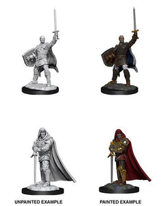 D&D Nolzur's Marvelous Unpainted Minis - Human Paladin Male (6880758071458)