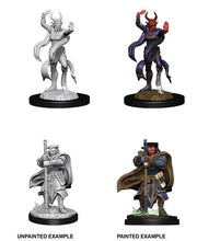 Load image into Gallery viewer, D&amp;D Nolzur&#39;s Marvelous Unpainted Minis - Hobgoblin Devastator &amp; Hobgoblin Iron Shadow (6880757579938)
