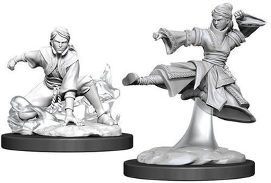 D&D Nolzur's Marvelous Unpainted Minis - Human Monk (4701382115465)