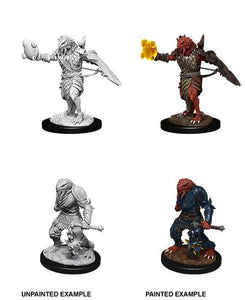 D&D Nolzur's Marvelous Unpainted Minis - Dragonborn Paladin (4701329719433)