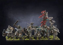 Load image into Gallery viewer, Conquest: W&#39;adrhun Warband Set (7107671195810)
