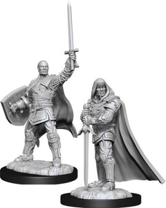 D&D Nolzur's Marvelous Unpainted Minis - Human Paladin Male (6880758071458)