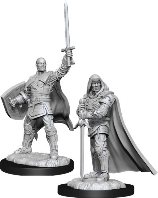 D&D Nolzur's Marvelous Unpainted Minis - Human Paladin Male (6880758071458)