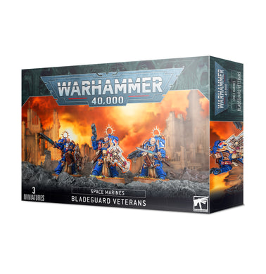 SPACE MARINES BLADEGUARD VETERANS (6703156822178)